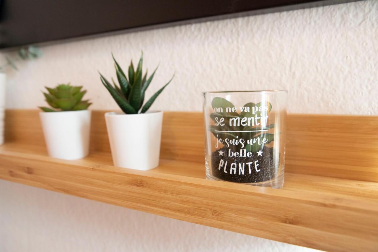 Apartmán Green Appart Le Chene Rouge Avec Jardin Prive Mylhúzy Exteriér fotografie