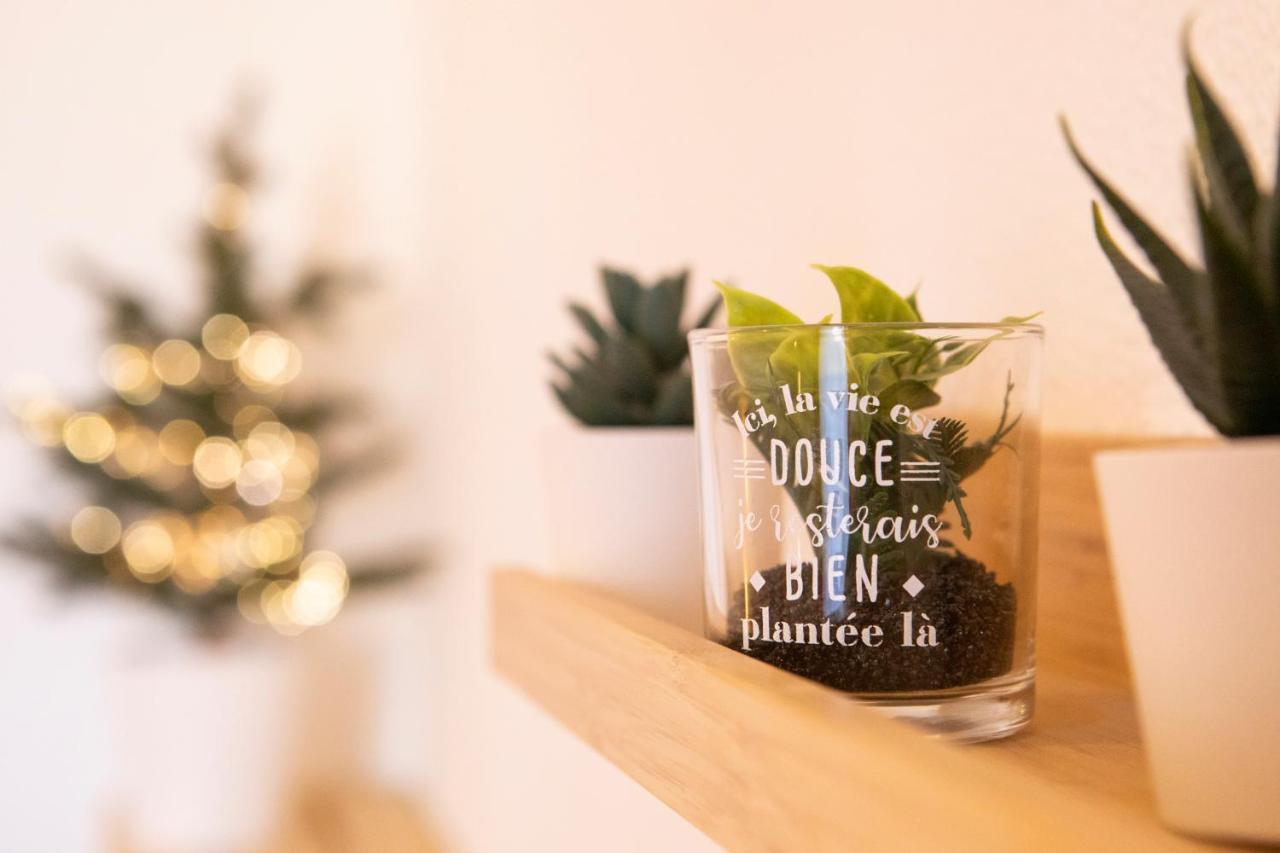 Apartmán Green Appart Le Chene Rouge Avec Jardin Prive Mylhúzy Exteriér fotografie